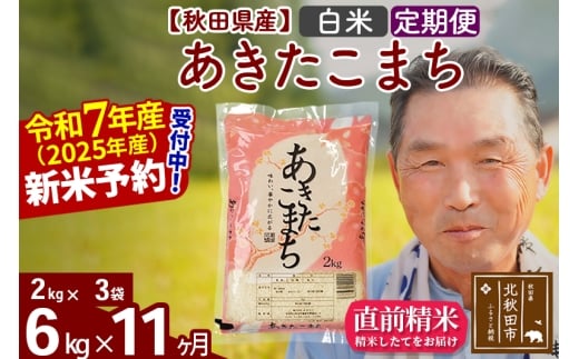 ※令和7年産 新米予約※《定期便11ヶ月》秋田県産 あきたこまち 6kg【白米】(2kg小分け袋) 2025年産 お届け時期選べる お届け周期調整可能 隔月に調整OK お米 おおもり