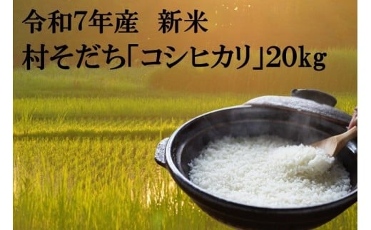 【宮代町】新しい村で育てた  コシヒカリ「村そだち」令和７年産新米 ２０ｋｇ