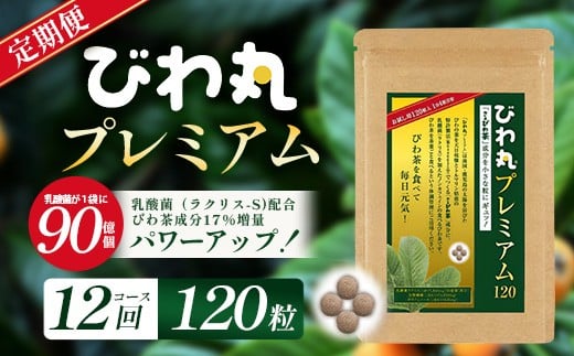 【定期便 全12回】≪12ヶ月連続で毎月お届け≫ びわ丸プレミアム ≪1回あたり(120粒入×1袋) ≫  健康補助食品 びわ茶含有加工食品  TO-12-NP| 国産 びわ茶 びわの葉 サプリメント 乳酸菌 ノンカフェイン ポリフェノール ネコポス 鹿児島県 南大隅町 十津川農場