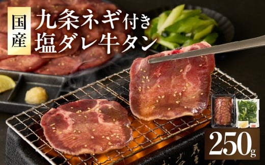 「京都人気焼肉店」貴重!塩ダレ国産牛タン 九条ネギレモン付き 250g 国産 牛タン 九条ネギ 薄切り 味付き 塩だれ 焼肉 BBQ 冷凍【093-39】 2253827 - 京都府木津川市