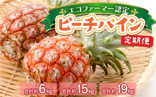 [選べる容量]定期便 2ヶ月 絶品ピーチパイン 約3kg〜9.5kg[E-SOU/E] 2026年 先行予約 西表島 初エコファーマー認定 パイン 果物 フルーツ 2回 お楽しみ [036-a003/036-a006/036-a009]
