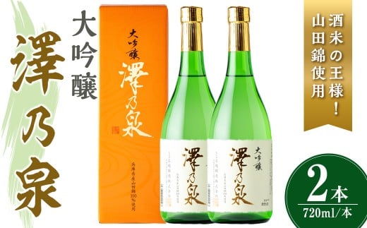 澤乃泉 大吟醸 山田錦 計1.44L (720ml × 2本) 【山田錦使用】 日本酒 大吟醸 セット 贈答 贈答用 ギフト お酒 酒 山田錦 宮城酵母 【石越醸造株式会社】tm357 2242384 - 宮城県登米市