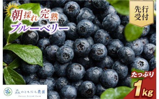 [先行予約]今治産ブルーベリー「媛ベリー」1kg 2026年7月下旬〜8月下旬発送予定(森のともだち農園玉川町) [LC00880]