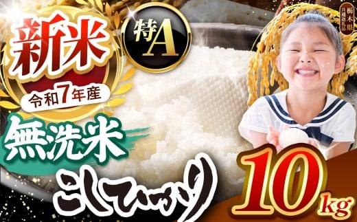 【栃木県共通返礼品】【令和7年度新米先行予約】栃木県産コシヒカリ 無洗米 10kg  | お米 米 こめ 洗米 新米 無洗米 コシヒカリ こしひかり 美味しい お弁当 選べる ふるさと 納税 栃木県 矢板市