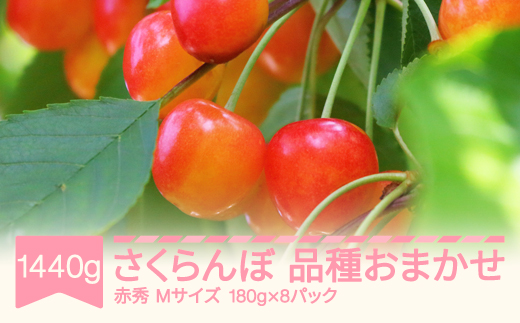 先行予約 さくらんぼ 品種おまかせ 赤秀 Mサイズ 1440g 180g×8パック 2026年産 令和8年産 山形県産 mm-saoam1440 ※沖縄・離島への配送不可