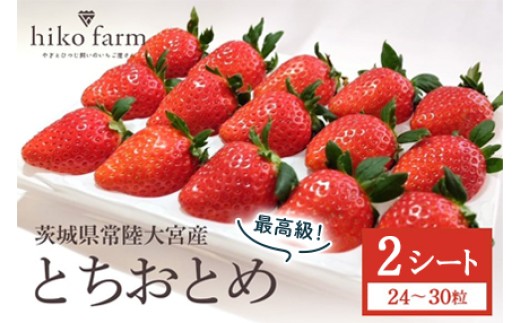 【先行予約】いちごのおくりもの（最高級とちおとめ）2シート（24～30粒） いちご イチゴ 苺 とちおとめ フルーツ 果物 くだもの デザート 【hiko farm（ヒコファーム）】【ho1570】