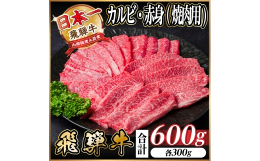 レビューキャンペーン実施中!飛騨牛　厳選カルビ・赤身(焼肉・BBQ用)600g　A4～A5　小分け【1543762】 1466632 - 岐阜県羽島市