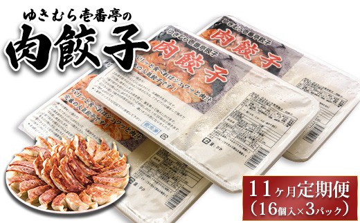 【11ヶ月定期便】ゆきむら壱番亭の肉餃子3パック(48個入り) ※離島への配送不可