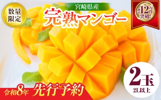 リピーター続出!!宮崎県産 完熟 マンゴー 2L以上×2玉 令和8年発送分 数量限定 フルーツ 果物 果汁 希少 濃厚 ジューシー 贅沢 上質 ご褒美 人気 国産 食品 おやつ デザート 産地直送 おすすめ ギフト プレゼント 贈り物 お土産 手土産 南国 日南市 送料無料_C123-24 362756 - 宮崎県日南市