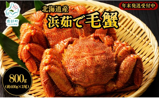 【北海道産】ボイル毛蟹 約800g（400g前後×2尾）蟹 カニ 冷凍
