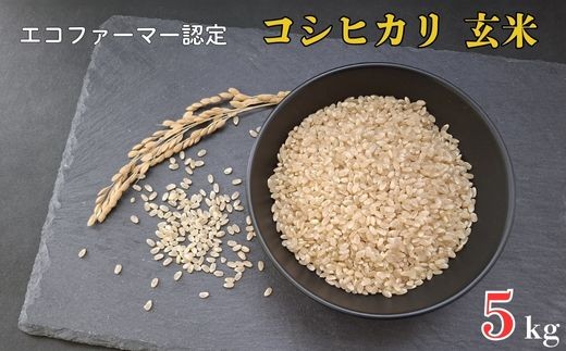令和7年産 新米　【エコファーマー認定】 コシヒカリ 玄米 5kg ／ 米 こめ コメ ごはん ご飯 お米 おこめ 玄米 新米 エコファーマー認定 5kg 令和7年 千葉県 東庄町 産地直送 2268632 - 千葉県東庄町