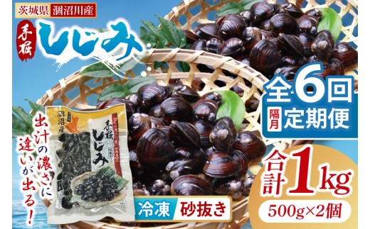 【全6回隔月定期便】茨城県涸沼川産 だしの濃さに違いが出る！手掘しじみ（砂抜き）500g×２個（1kg）【涸沼川 シジミ オルニチン 味噌汁 スープ 茨城県 水戸市】（MS-11）