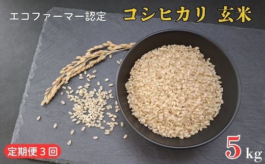 《定期便3ヶ月》令和7年産 新米　【エコファーマー認定】 コシヒカリ 玄米 5kg ／ 米 こめ コメ ごはん ご飯 お米 おこめ 玄米 新米 エコファーマー認定 5kg  定期便 令和7年 千葉県 東庄町 産地直送 2268633 - 千葉県東庄町