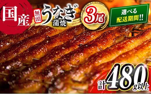 ＜2025年11月お届け＞高評価!! うなぎ 鰻楽 国産 蒲焼 3尾 人気 無頭 計480g以上 おすすめ 冷凍 簡単調理 個包装 鰻 魚介 贈答品 ギフト 贈り物【C444-2511】