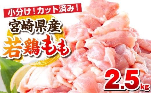 【11月発送予定】宮崎県産若鶏 もも肉 2.5kg(250g×10パック)_M146-008_01_nov 2260707 - 宮崎県宮崎市