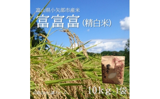 ＜新米先行受付(2025年10月上旬から順次発送)＞令和7年富山県産「富富富」(精米)10kg×1袋【1656121】 2238664 - 富山県小矢部市