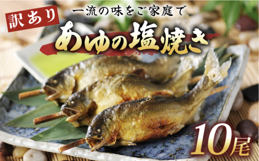 訳あり あゆの塩焼き 10尾 あゆ 鮎 アユ 鮎の塩焼き アユの塩焼き 鮎塩焼き アユ塩焼き あゆ塩焼き 焼魚 塩焼き 便利 簡易 簡単  簡単調理 魚 焼き魚 琵琶湖 国産 川魚 魚介 彦根 滋賀