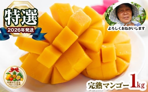 【2026年発送】特選　沖縄はえばるフルーツ市場　完熟マンゴー1kg
