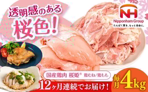 【全12回定期便】桜姫 鶏むね＆鶏ももセット 計4kg （鶏むね・鶏もも 各2kg）《厚真町》【東日本フード株式会社】 桜姫 鶏肉 鶏 とり肉 もも肉 鶏もも むね肉 鶏むね トリ 2キロ パック 冷凍 北海道 [AXBM047]