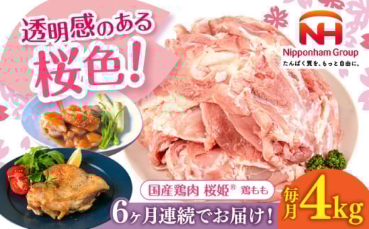 【全6回定期便】桜姫 鶏もも 計4kg（2kg×2パック）《厚真町》【東日本フード株式会社】 桜姫 国産鶏肉 鶏肉 鶏 とり肉 もも もも肉 鶏もも 冷凍 北海道 [AXBM032]
