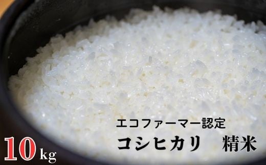 令和7年産 新米【エコファーマー認定】 コシヒカリ 白米 10kg ／ 米 こめ コメ ごはん ご飯 お米 おこめ 精米 白米 新米 エコファーマー認定 10kg 令和7年 千葉県 東庄町 産地直送 707501 - 千葉県東庄町