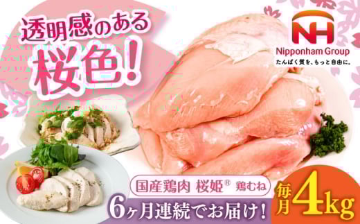 【全6回定期便】桜姫 鶏むね 計4kg（2kg×2パック）《厚真町》【東日本フード株式会社】 桜姫 国産鶏肉 鶏肉 鶏 とり肉 ムネ むね肉 鶏むね 冷凍 北海道 [AXBM011]