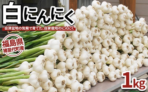 【数量限定】白にんにく 1kg 国産 猪苗代産　※沖縄、離島への配送不可　※2025年9月上旬頃より順次発送予定 2237960 - 福島県猪苗代町