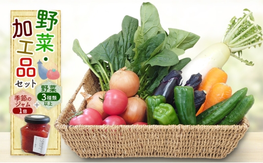 野菜・加工品セット 野菜3種類以上＋季節のジャム1個 野菜 季節の野菜 セット 産地直送 新鮮 野菜農家 季節 詰め合わせ 産直 国産 お楽しみ おまかせセット 千葉市 [№5346-1435] 2238595 - 千葉県千葉市