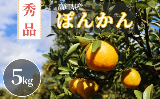 徳村のぽんかん 秀品[gが選べる]国産 東洋町産 訳アリ 甘い コク ジューシー 果肉 高知県 東洋町 四国 お取り寄せ フルーツ 果物 家庭用 自宅用 送料無料