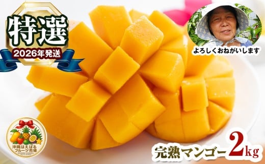 【2026年発送】特選　沖縄はえばるフルーツ市場　完熟マンゴー2kg