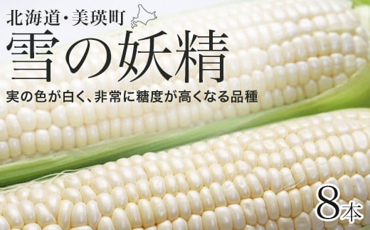 【先行予約】とうもろこし（雪の妖精）8本 <令和8年産 >黒木農場 | とうもろこし 北海道 スイートコーン とうきび 夏野菜 美瑛産 北海道産 北海道産とうもろこし [009-33]
