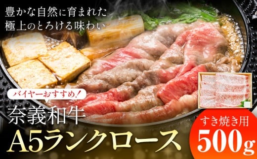 奈義和牛 A5ランクロース バイヤーおすすめ！ すき焼き用 500g 株式会社 天満屋《30日以内に出荷予定(土日祝除く》岡山県 笠岡市 和牛 牛肉 肉 A5ランク すき焼き 送料無料