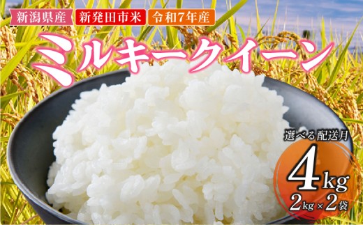 【2025年12月発送】 令和7年産 新発田市米 ミルキークイーン 12月発送 計4kg 2kg × 2袋 米 白米 ご飯 料理 おにぎり 弁当 新潟県 新潟産 新発田産 ミルキークイーン 佐々木耕起組合 2kg 新潟県 新発田市 非常食 備蓄 sasakikoki006_202512 2244718 - 新潟県新発田市