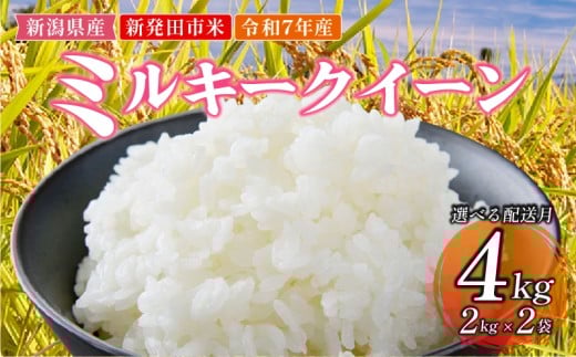 [2025年10月発送] 令和7年産 新発田市米 ミルキークイーン 10月発送 計4kg 2kg × 2袋 米 白米 ご飯 料理 おにぎり 弁当 新潟県 新潟産 新発田産 ミルキークイーン 佐々木耕起組合 2kg 新潟県 新発田市 非常食 備蓄 sasakikoki006_202510