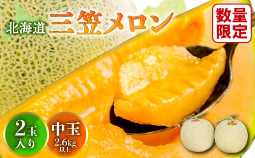 《数量・期間限定！！》とろける食感と甘い香り北海道三笠メロン2玉入（2.6kg以上）【0100103】