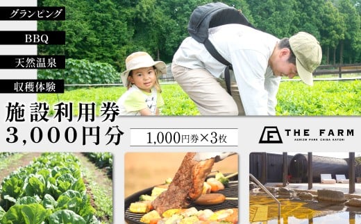 BBQやキャンプなども楽しめる複合施設 THE FARM利用券 3,000円分 KTRC006 2239605 - 千葉県香取市