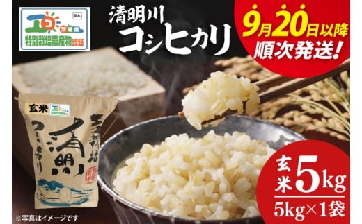 【令和7年9月20日以降順次発送】【先行予