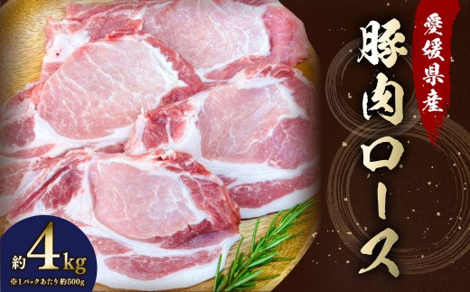 【愛媛県産】 豚肉 ロース 2枚ずつ小分け 約4kg (786)