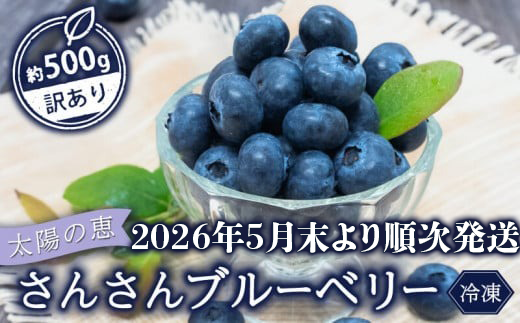 高知県須崎市のふるさと納税 【早期予約開始!!2026年5月末より順次発送】【訳あり】 ブルーベリー 500g × 1 パック 冷凍 健康 食品 果物 フルーツ ベリー そのまま おやつ 朝食 加工 お菓子 製菓 シャーベット ジャム ソース スムージー いちかわファーム 高知県 須崎市 IF007