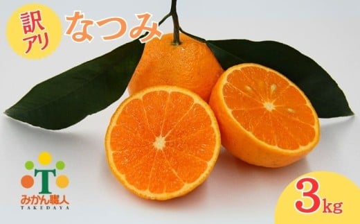 [訳あり]みかん職人のなつみ3kg 柑橘 フルーツ 果物 みかん職人 果物 オレンジ フルーツ 柑橘 みかん 愛媛県 愛南町 みかん職人武田屋
