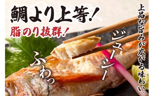 脂がのっていながら、上品な旨みののどぐろを是非味わってください。