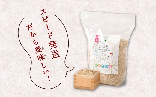阿蘇だわら（玄米）10kg（2kg×5）熊本県 高森町 オリジナル米