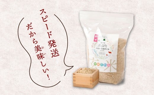 【6ヶ月定期便】阿蘇だわら (玄米) 20kg (2kg×10袋)