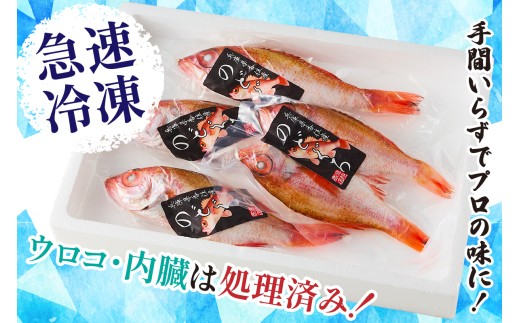 ウロコ・内臓処理済で急速冷凍しています。