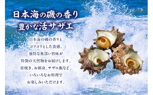 ぜひ、いろいろなお料理でお楽しみください。