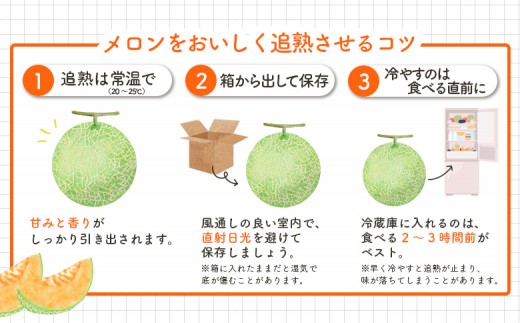 《数量・期間限定！！》とろける食感と甘い香り北海道三笠メロン2玉入（2.6kg以上）