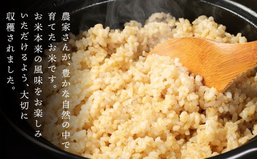 【8ヶ月定期便】阿蘇だわら (玄米) 20kg (2kg×10袋)