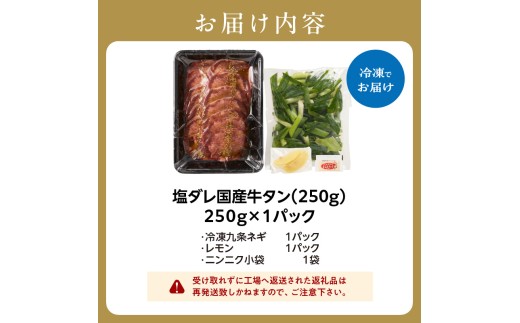「京都人気焼肉店」貴重！塩ダレ国産牛タン 九条ネギレモン付き 250g
