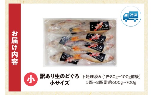 お届けイメージ
少し小さめ（1匹80～100g前後）
5匹～8匹 約600g～700g