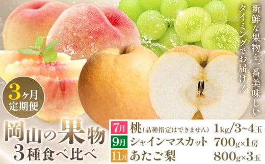 【2026年発送先行予約】ぶどう 桃 梨 3ヶ月 定期便 岡山 の 果物 3種 食べ比べ 計4.1kg 晴れの国おかやま館(漂流岡山)《2026年7月上旬-11月下旬頃出荷》岡山県 笠岡市 桃 もも マスカット シャインマスカット 梨 あたご梨 果物【配送不可地域あり】（離島）